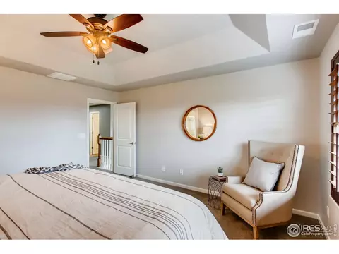 5960 Jasper St, Timnath, CO 80547 photo 23