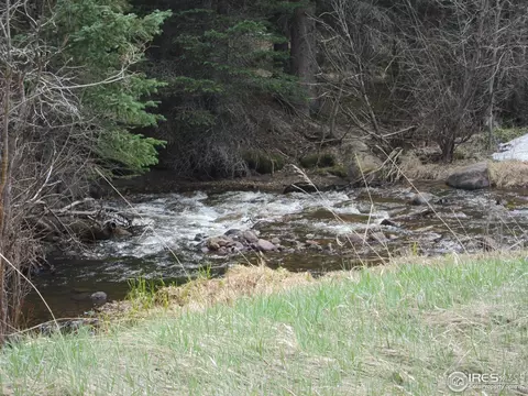 519 Bigbee High Rd, Ward, CO 80481 photo 9