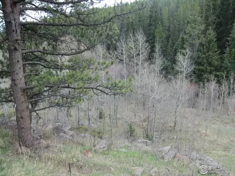 519 Bigbee High Rd, Ward, CO 80481 photo 4