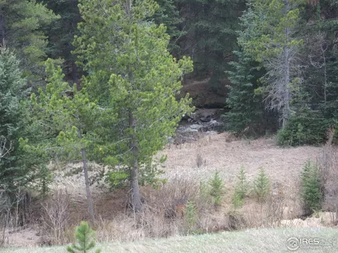 519 Bigbee High Rd, Ward, CO 80481 photo 6