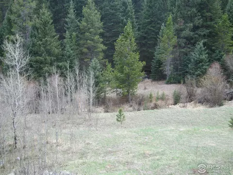 519 Bigbee High Rd, Ward, CO 80481 photo 5