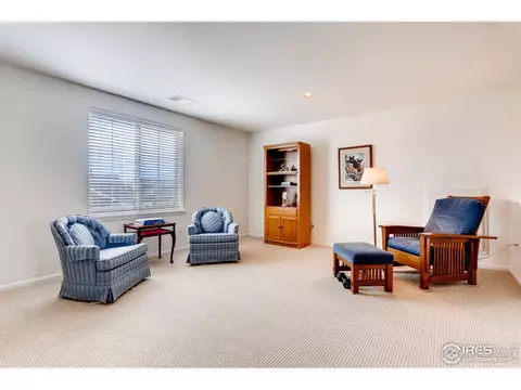 19535 E 54th Pl, Denver, CO 80249 photo 21