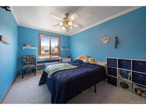 8439 Wright St, Arvada, CO 80005 photo 18