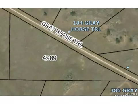Gray Horse Trl, Hartsel, CO 80449