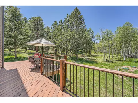 33 Sparrow Ct, Bailey, CO 80421 photo 7