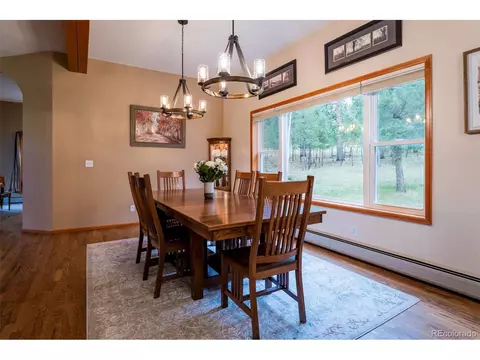 33 Sparrow Ct, Bailey, CO 80421 photo 10