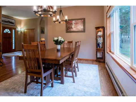 33 Sparrow Ct, Bailey, CO 80421 photo 11