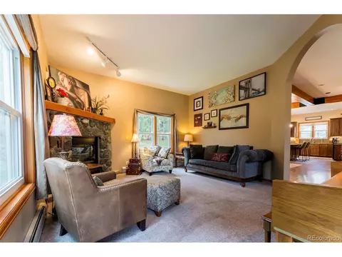 33 Sparrow Ct, Bailey, CO 80421 photo 18