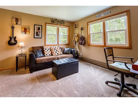33 Sparrow Ct, Bailey, CO 80421 photo 32