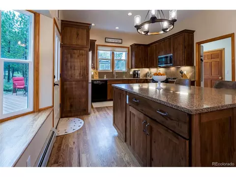 33 Sparrow Ct, Bailey, CO 80421 photo 13