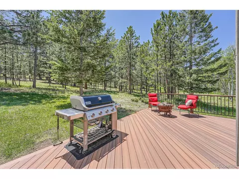 33 Sparrow Ct, Bailey, CO 80421 photo 6