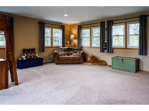 33 Sparrow Ct, Bailey, CO 80421 photo 23