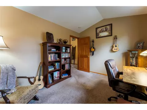 33 Sparrow Ct, Bailey, CO 80421 photo 31