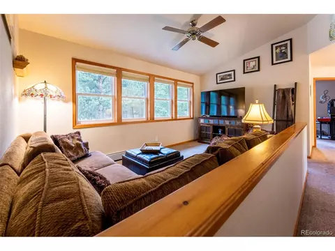 33 Sparrow Ct, Bailey, CO 80421 photo 37