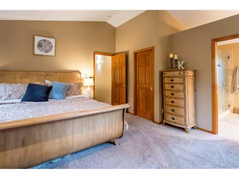33 Sparrow Ct, Bailey, CO 80421 photo 25