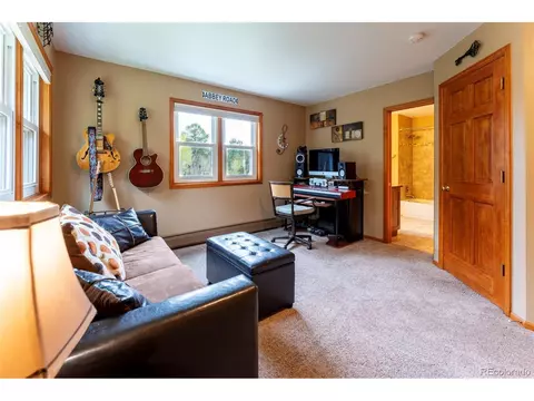 33 Sparrow Ct, Bailey, CO 80421 photo 33