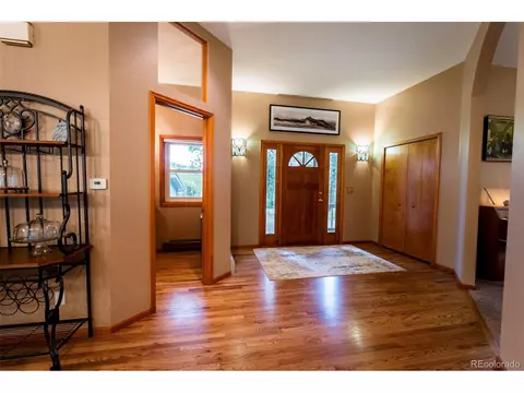 33 Sparrow Ct, Bailey, CO 80421 photo 38