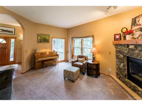 33 Sparrow Ct, Bailey, CO 80421 photo 19