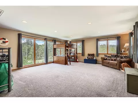 33 Sparrow Ct, Bailey, CO 80421 photo 22