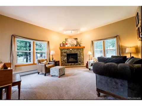 33 Sparrow Ct, Bailey, CO 80421 photo 17