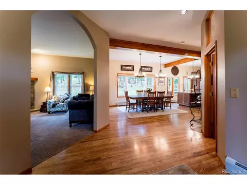 33 Sparrow Ct, Bailey, CO 80421 photo 8