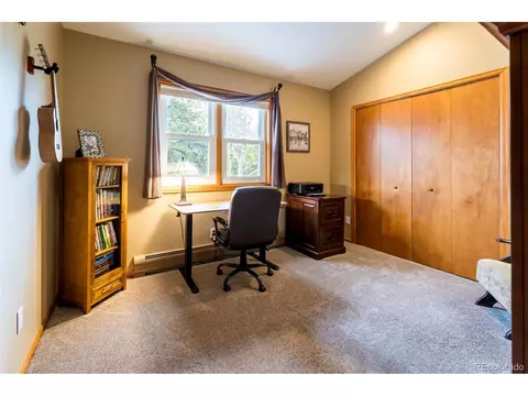 33 Sparrow Ct, Bailey, CO 80421 photo 30