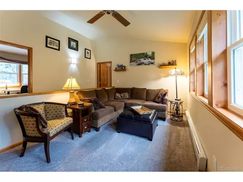 33 Sparrow Ct, Bailey, CO 80421 photo 36