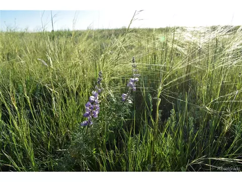 9545 N Yoder Rd, Calhan, CO 80808 photo 7