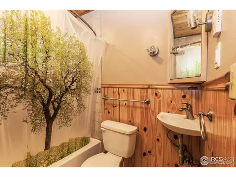 77 Wolf Dr, Drake, CO 80515 photo 17