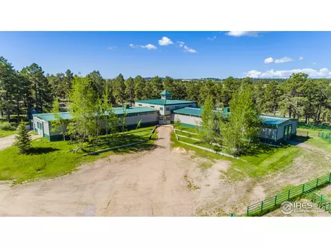 21017 Eagle Feather Ln, Elbert, CO 80106 photo 1
