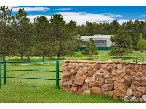 21017 Eagle Feather Ln, Elbert, CO 80106 photo 23