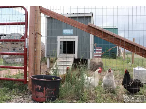 1301 7th St, Pierce, CO 80650 photo 24