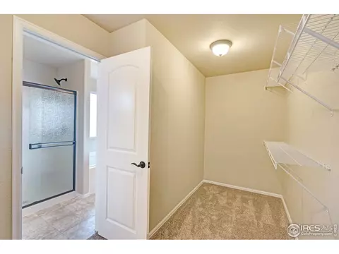257 Castle Dr, Severance, CO 80550 photo 22