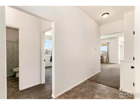 907 5th St, Pierce, CO 80650 photo 4