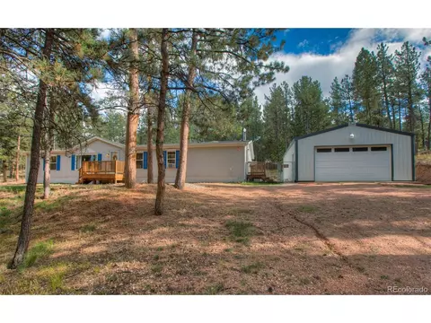 176 Peak View Cir, Florissant, CO 80816