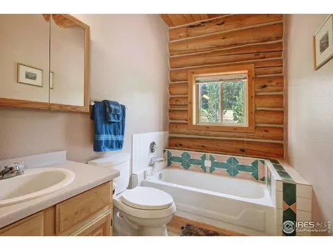 824 Deer Ln, Lyons, CO 80540 photo 19