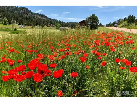 824 Deer Ln, Lyons, CO 80540 photo 26