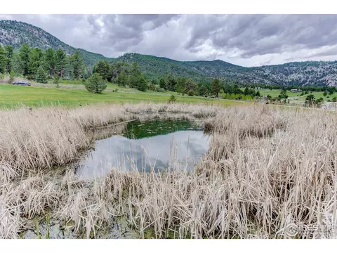 824 Deer Ln, Lyons, CO 80540 photo 34