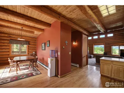 824 Deer Ln, Lyons, CO 80540 photo 11