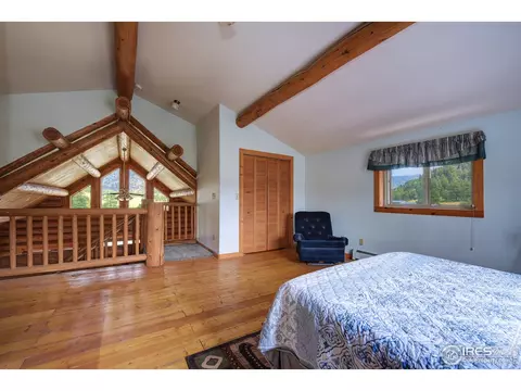 824 Deer Ln, Lyons, CO 80540 photo 18