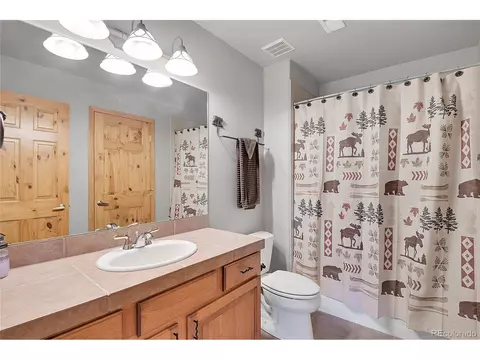 16508 Ouray Rd, Pine, CO 80470 photo 33