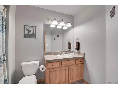 16508 Ouray Rd, Pine, CO 80470 photo 28