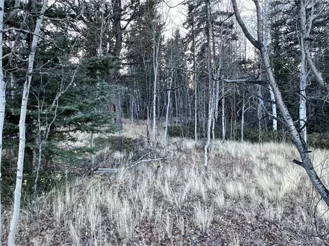 54 Creedmoor Ln, Como, CO 80432 photo 4