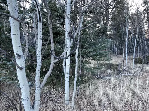 54 Creedmoor Ln, Como, CO 80432 photo 6