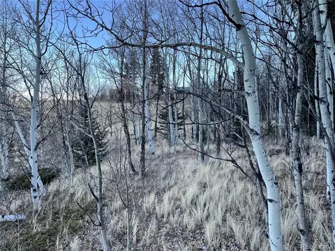 54 Creedmoor Ln, Como, CO 80432 photo 1