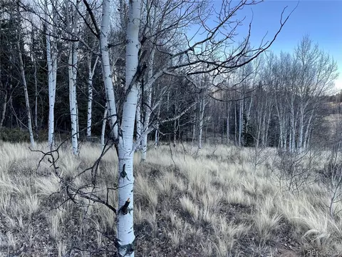 54 Creedmoor Ln, Como, CO 80432 photo 8