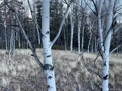 54 Creedmoor Ln, Como, CO 80432 photo 5