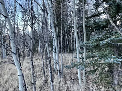 54 Creedmoor Ln, Como, CO 80432 photo 7