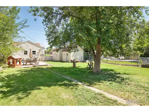19 Walnut St, Windsor, CO 80550 photo 22