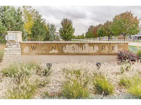 926 Camberly Dr, Windsor, CO 80550 photo 19